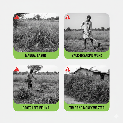 🔥 Cyclosinone Herbicide Granules – 50% OFF TODAY ONLY! ⚡ Hurry Before Stock Ends!